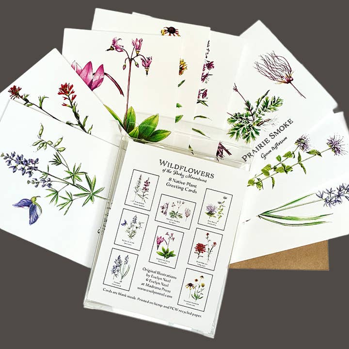 Vildblommakortset - 8 olika blommor för wholesale av Madrona Press