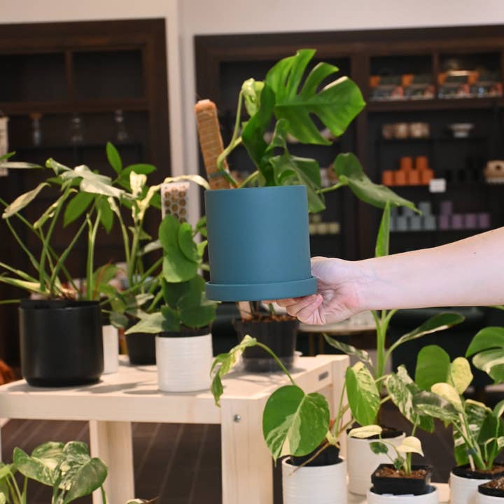 Lost in the Forrest - Wholesale Plantenpot - Gordon Pot12