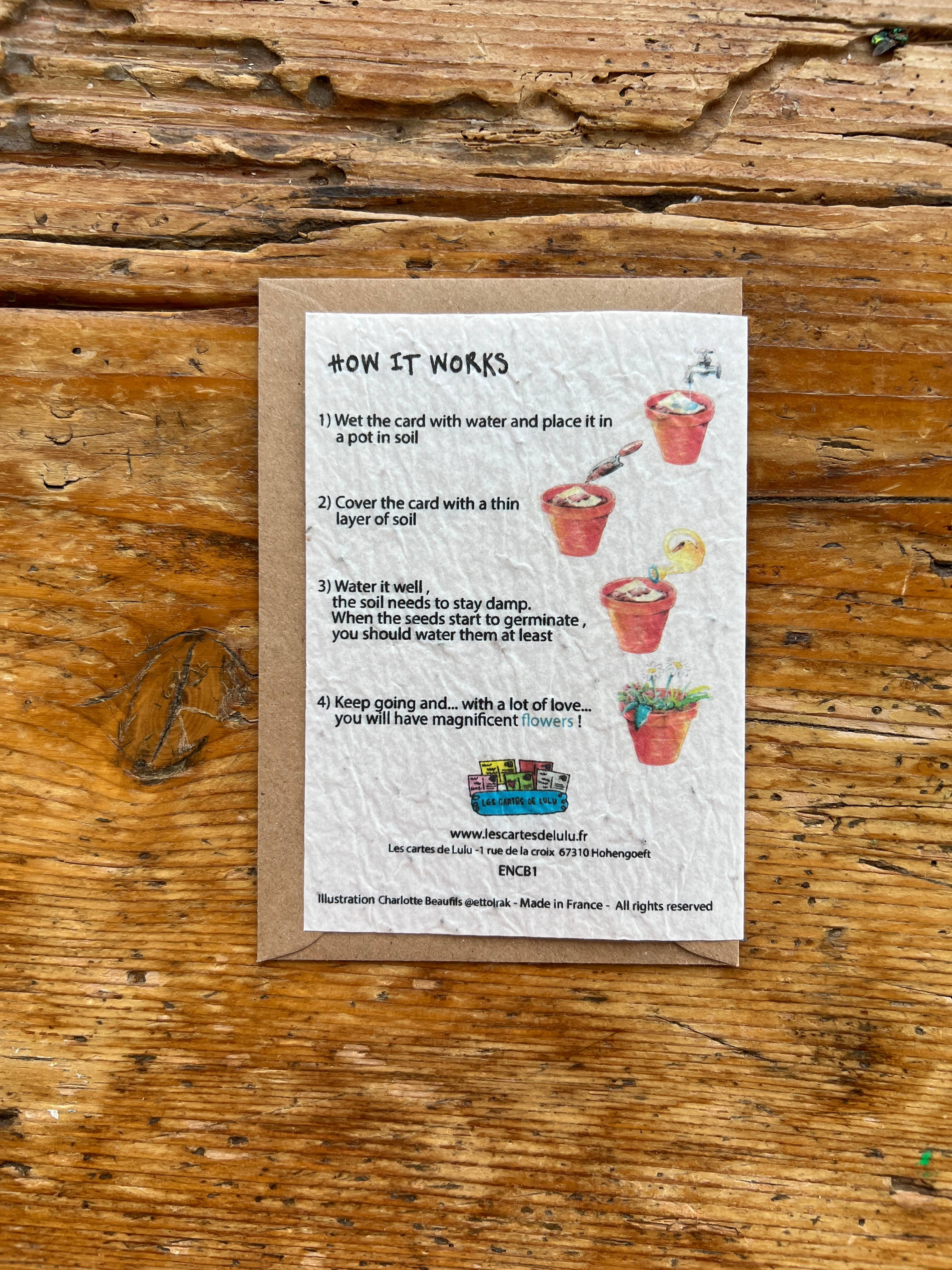 Les cartes de Lulu - Vendita all'ingrosso Biglietti di auguri generici - Biglietto per piantare semi «Champagne» in inglese1