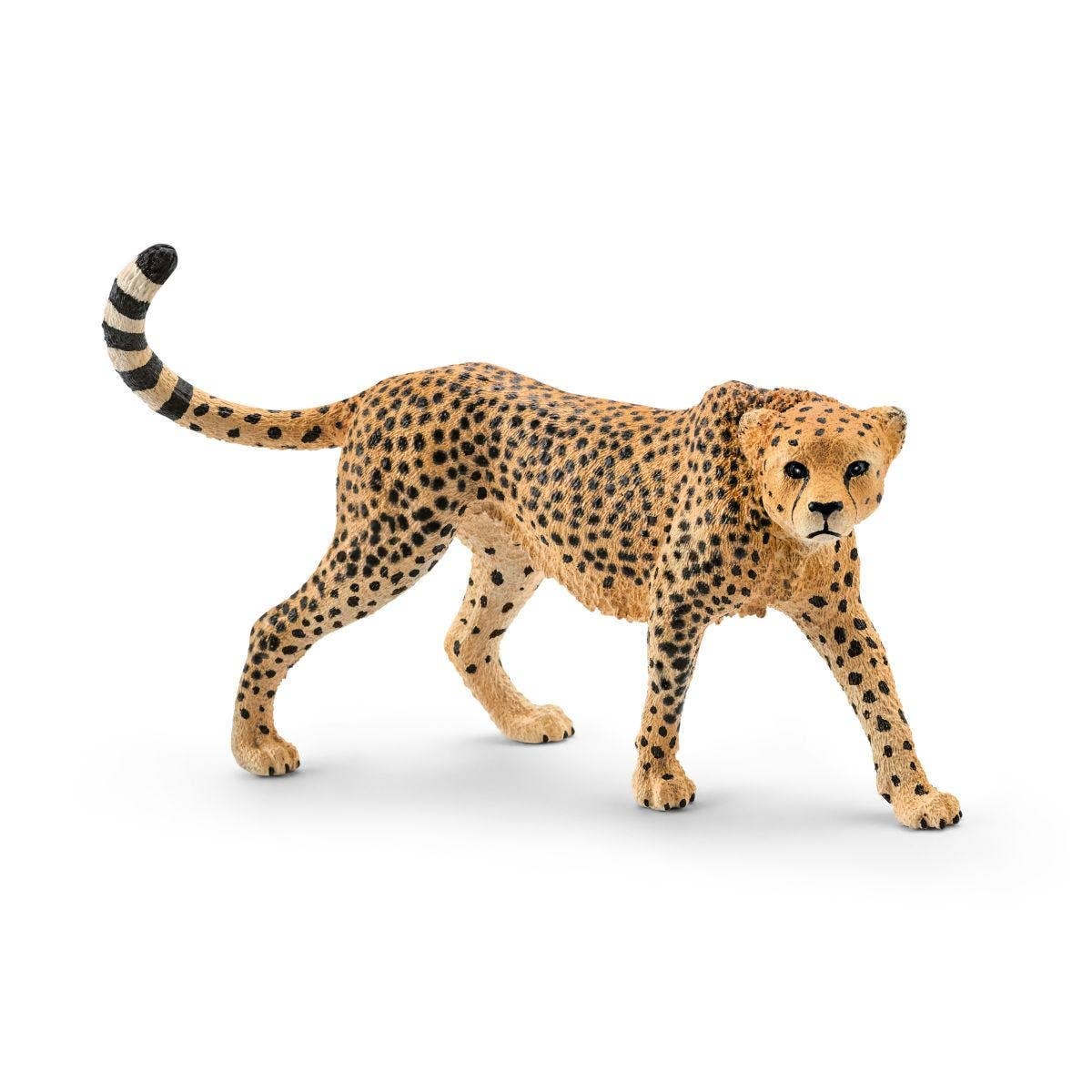Schleich - Wholesale Figurine Toy - Kids - Cheetah Female Safari Animal Toy