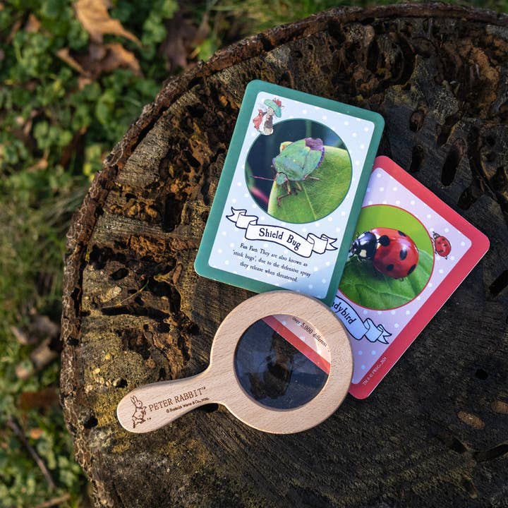 Robert Frederick Ltd - Wholesale Toy set – Kids - Peter Rabbit Bug Spotter Activity Set8