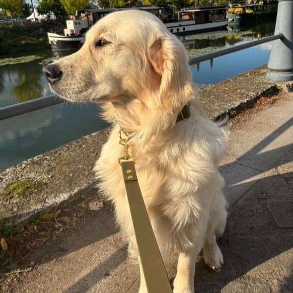 Splash By Happy - Wholesale Pet Collar - Dog - Biothane® clip necklace19