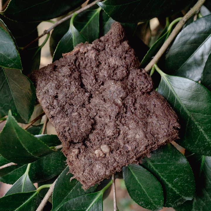 Love Liparu - Wholesale Pet Treats - Dog - BEAVER | Freeze-Dried Dog + Cat Treat0