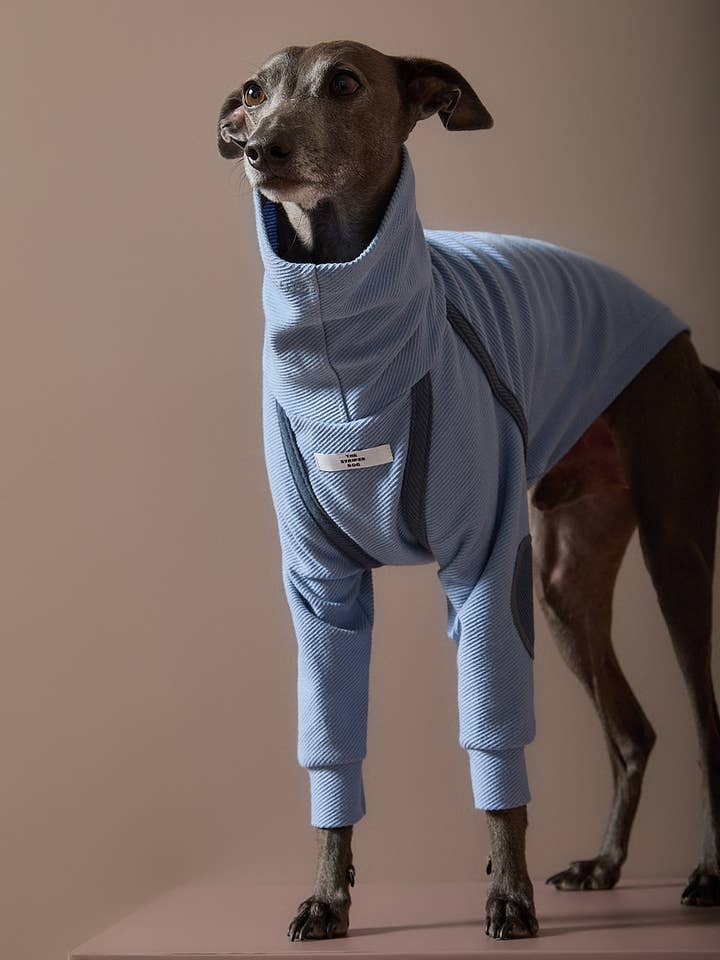 Italienisches Windspiel / Whippet Hellblauer Rollkragenpullover mit Aufnähern CAIRO für den Großhandel von The Striped Dog