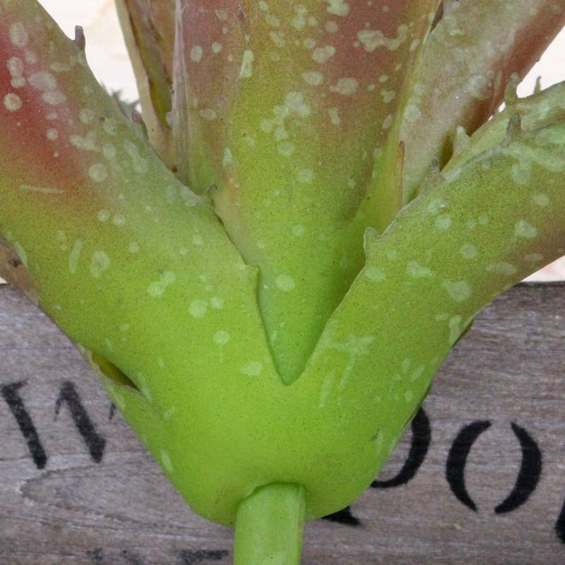 Angel Isabella – wholesale Succulent – High-end-Ultra realist Real Touch Succulents Aloe-10"2