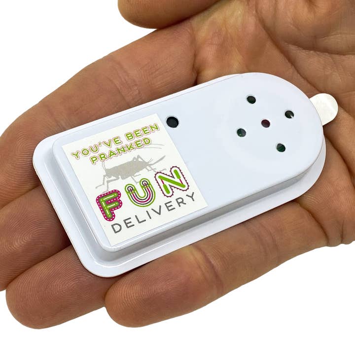 FUN.delivery - Wholesale Prank/Gag Gift - Frickin' Cricket: hidden annoying insect chirping prank sound1