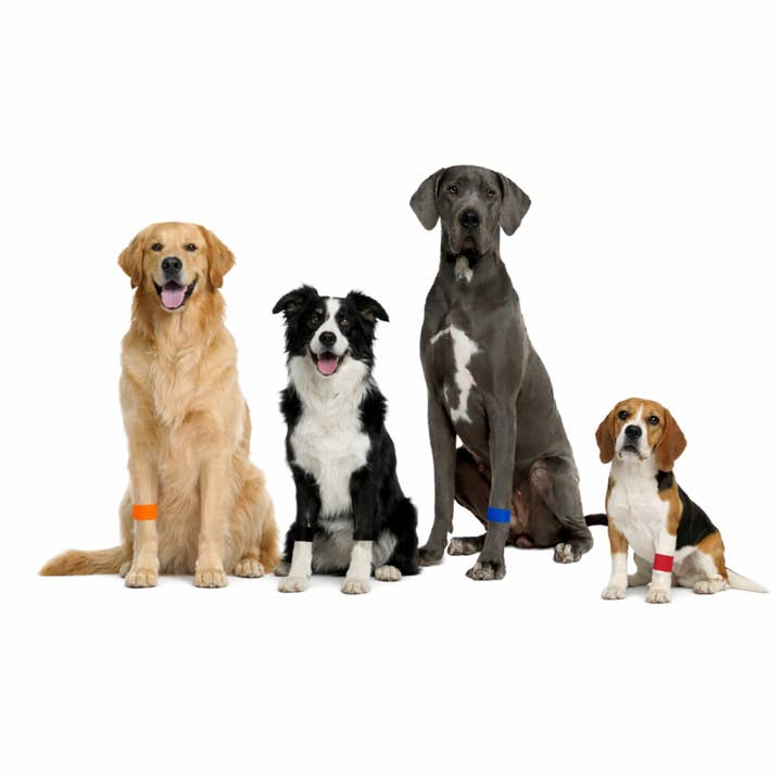 Banda Calmante para Cães – Apoio para Viagens e Ansiedade – Fácil de Colocar por atacado de AcuBracelet