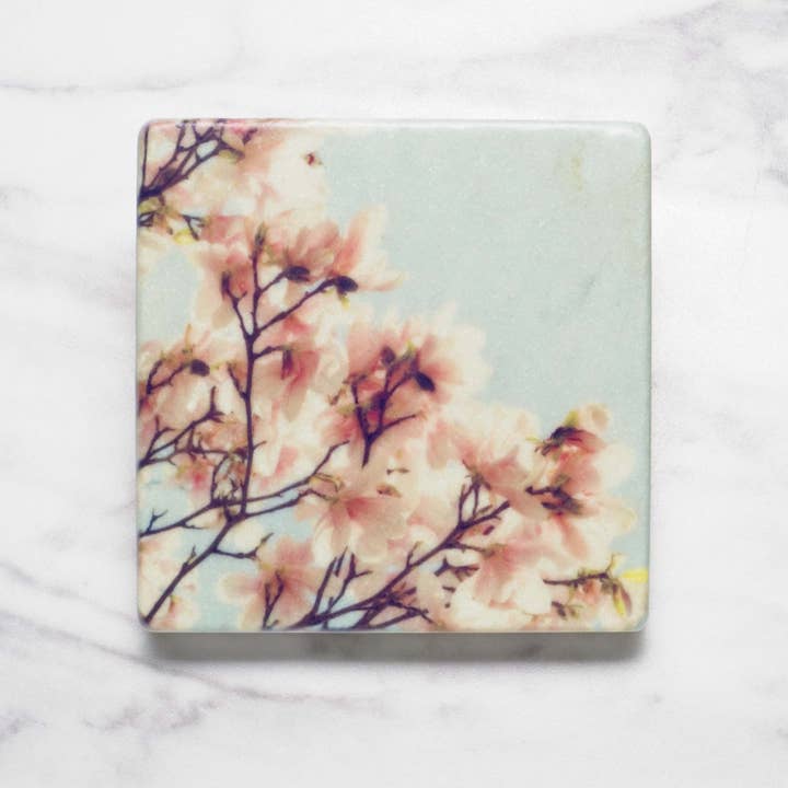 Pink Magnolia Flowers for wholesale by StellaLily