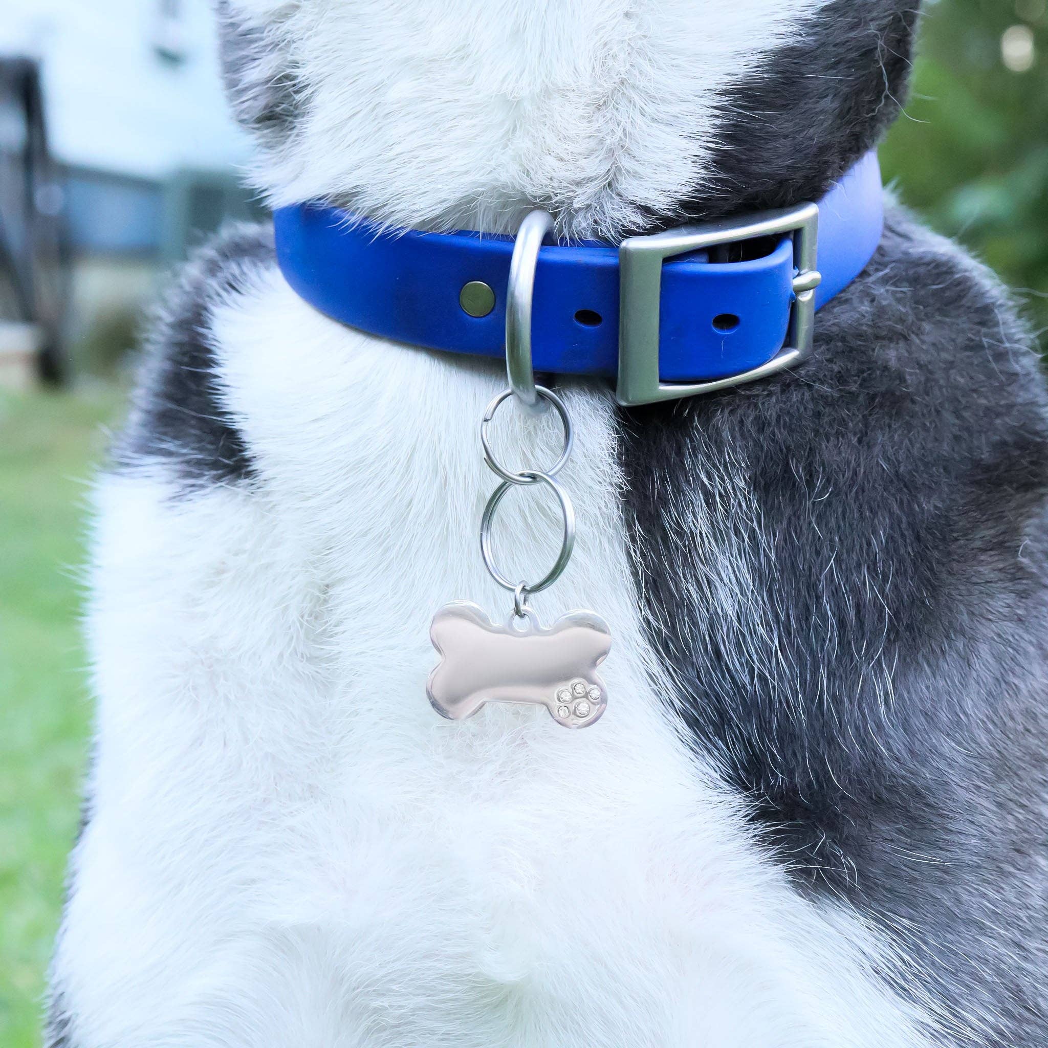 WJW - Wholesale Pet Identification Tag - Cat/Dog - 18K Gold PVD Blank Stainless Steel Dog Bone with CZ Stone Paw Pet Tag3