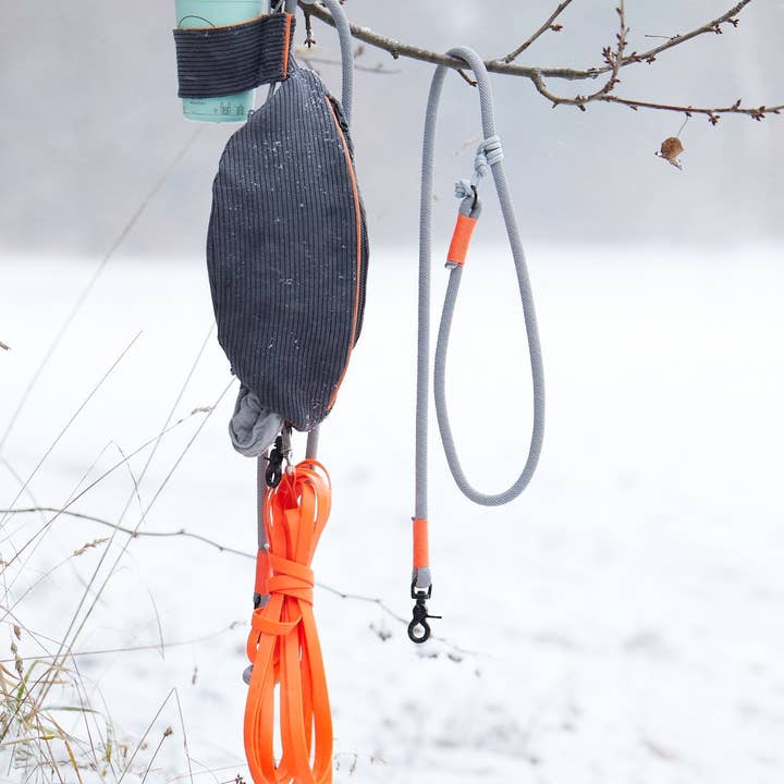 Foxc New York hondentas set voor wholesale door Foxc