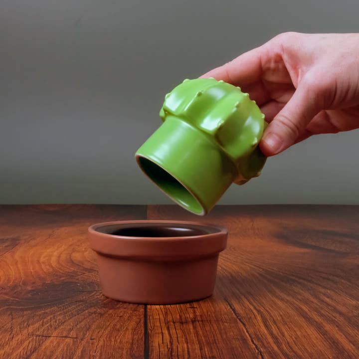 Fred & Friends - Wholesale Butter Dish - HOUSE PLANT - Ceramic Cactus Butter Storage6