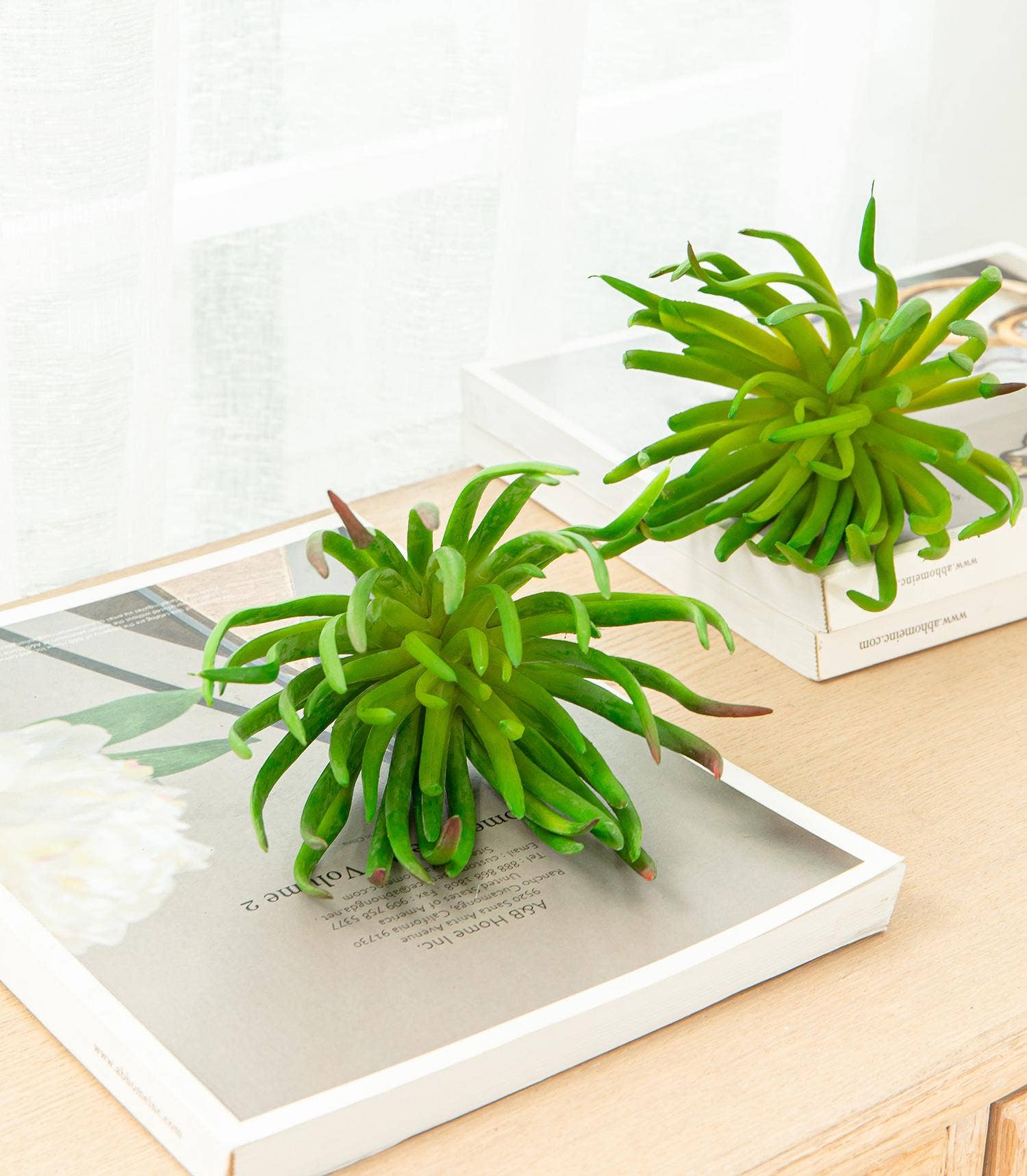 A&B Home Group Inc. – wholesale Konstgjord växt – Faux Stonecrop-suckulentstam 6,5x6,5x7" - Grön1