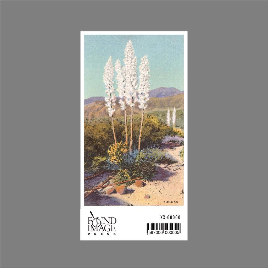 Found Image Press - Vente Autocollant - Autocollant ZA-10 Yuccas en fleurs1