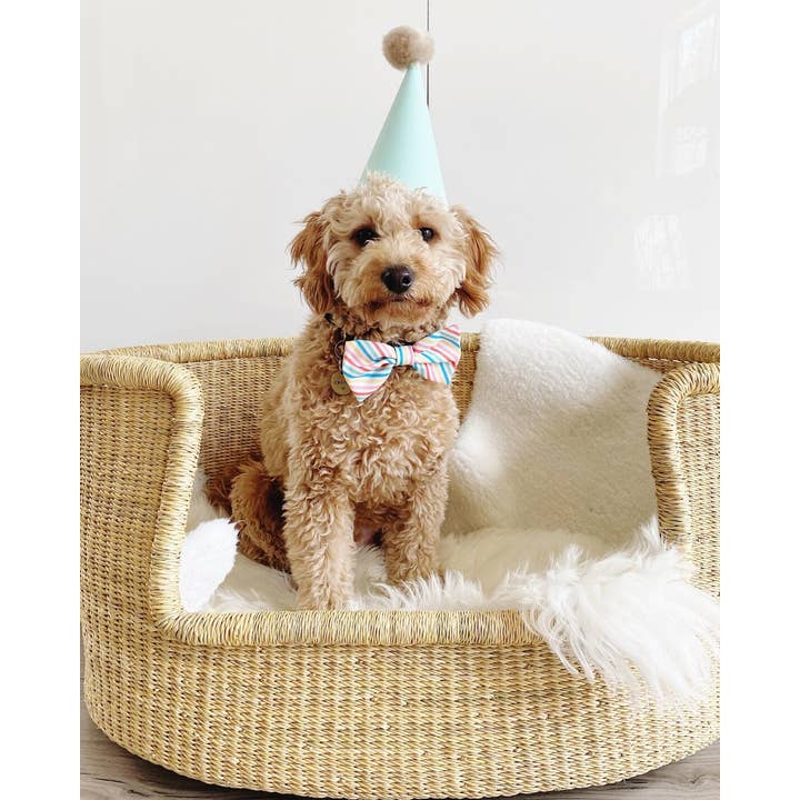 Xtra Large Pet Basket | African Basket | Ecofriendly Basket for wholesale by Mmabiabaskets