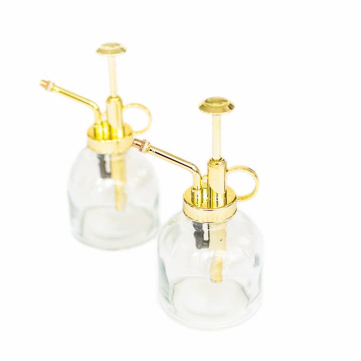 Air Plant Shop - Wholesale Plant Mister - Tillandsia Air Plant Mister4