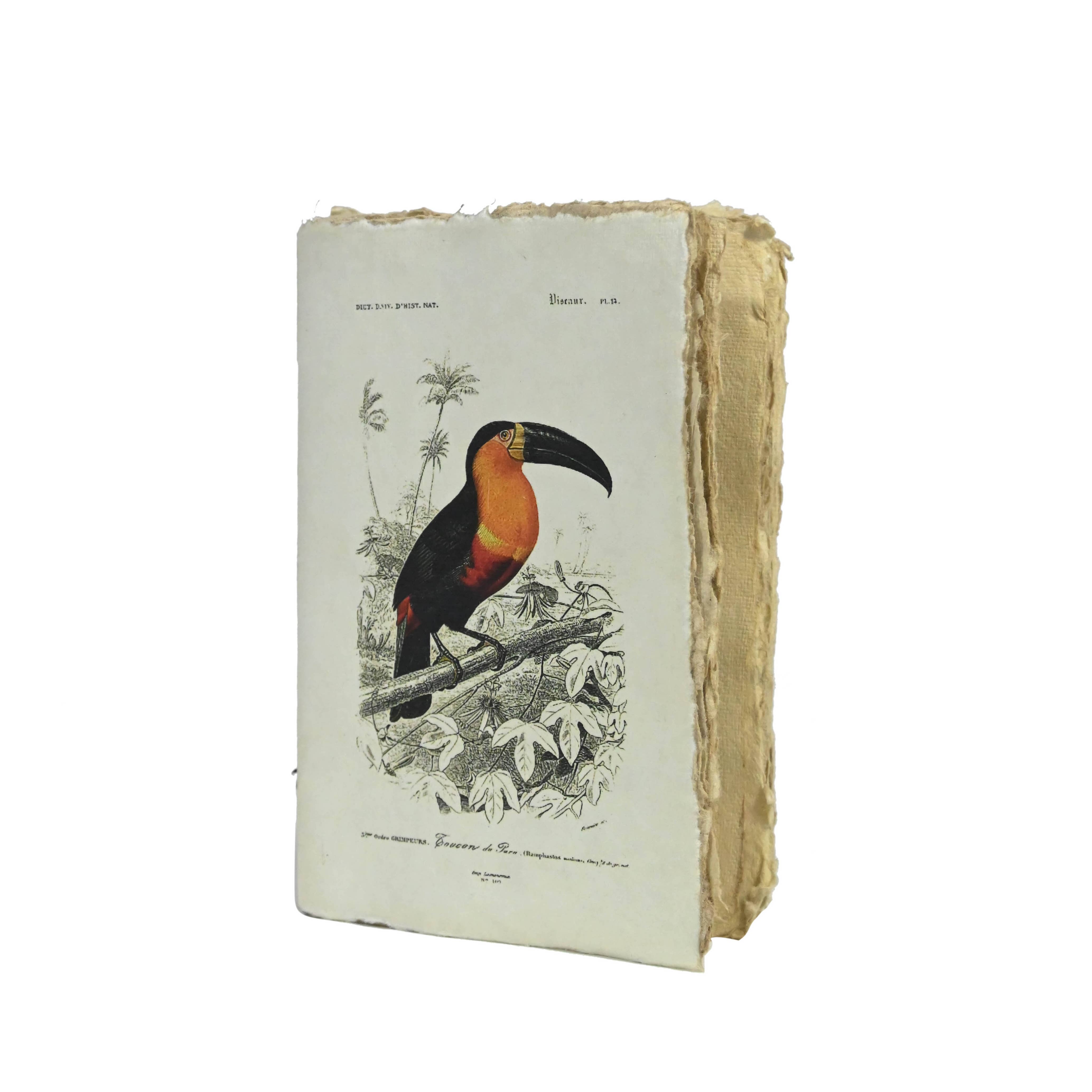 Supplement D'AM - Wholesale Notebook - Vintage Birds Parchment Paper Notebook1