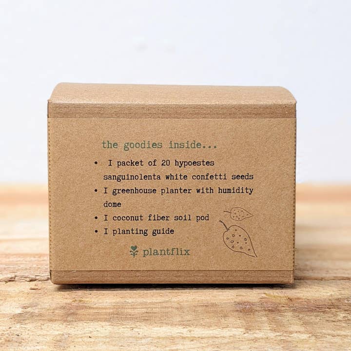 Plantflix - Wholesale Plant Seeds - Houseplant Seed Kit 22