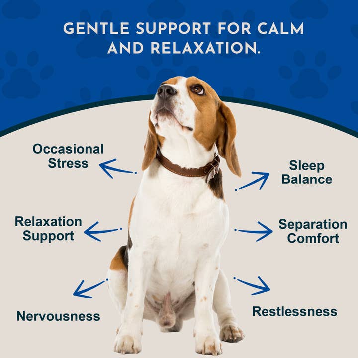 Animal Essentials - Wholesale Pet Supplement - Cat/Dog - Valerian Herbal Tonic | Promotes Calming Effect2