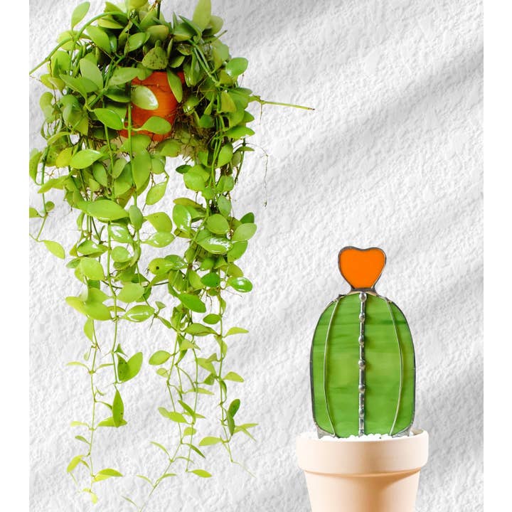 Samara Designs Studio - Wholesale Decorative Tabletop Object - Baby Barrel Glass Cactus