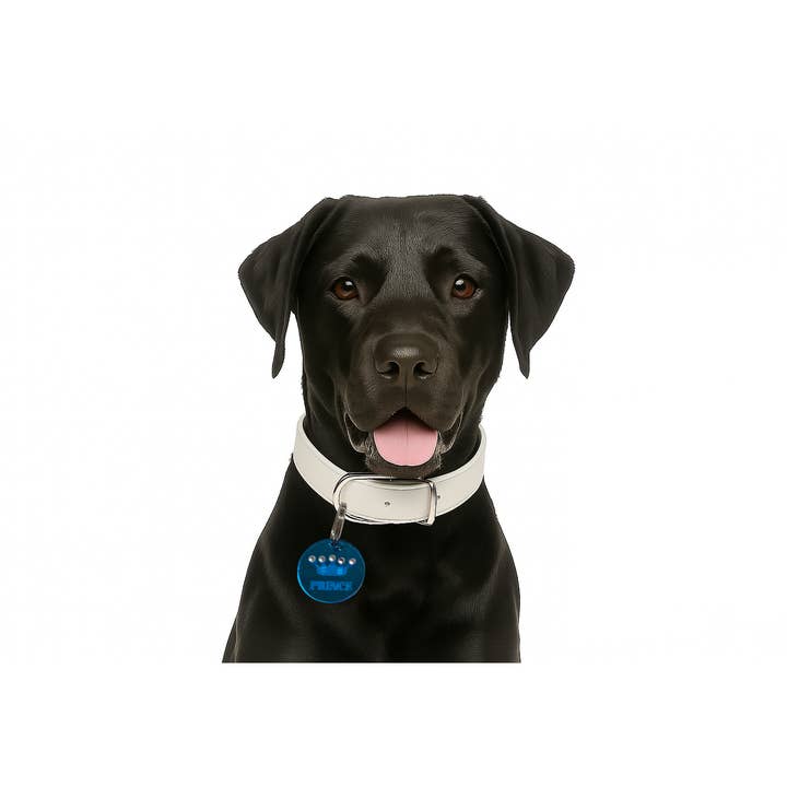 Medium Blue Prince Collar Charm for wholesale by Pet Mirrors