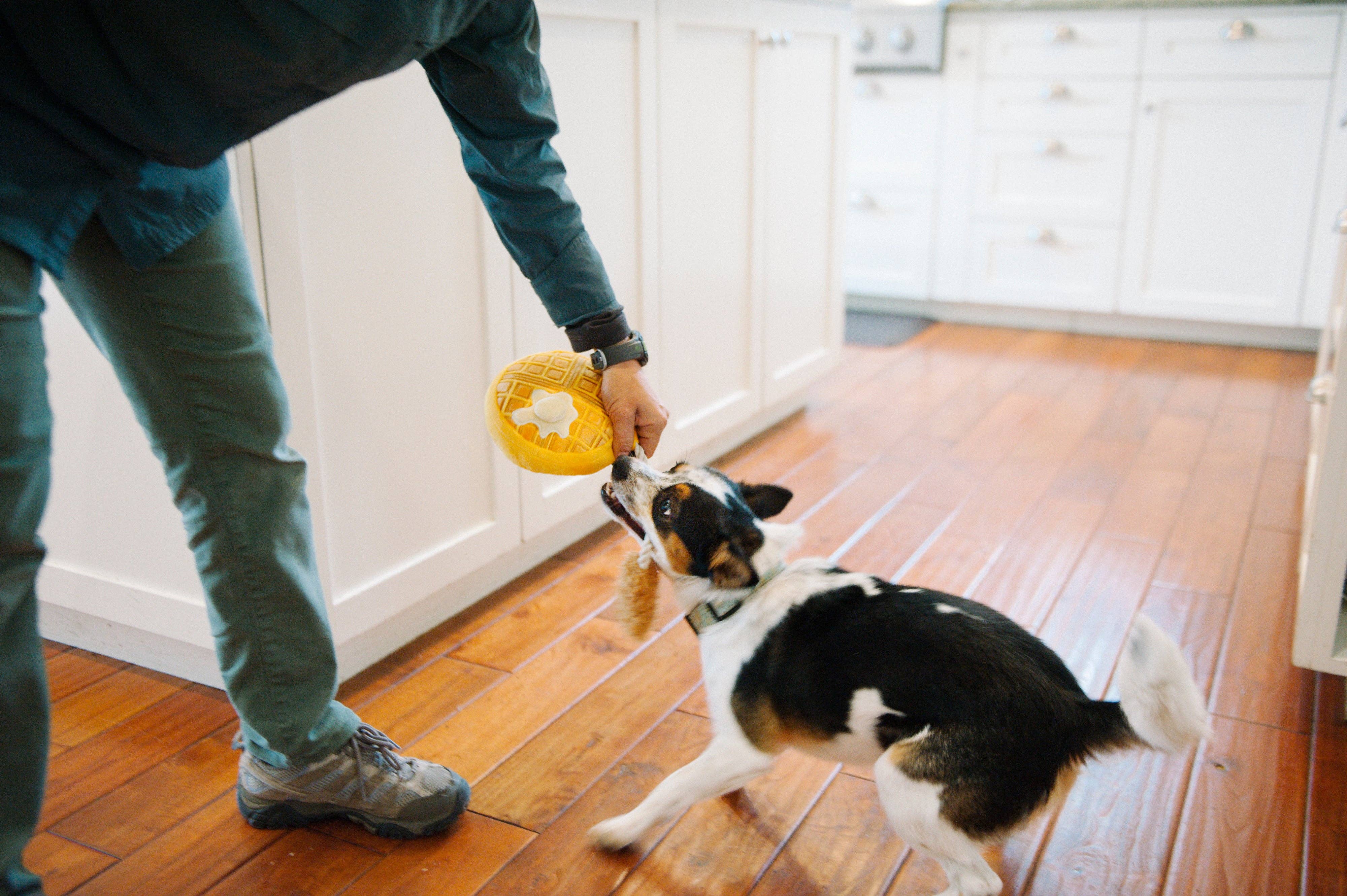 In Vogue Pets – wholesale Pet plush toy – Dog – Barking Brunch Chicken & Wooffles Plush Dog Toy5