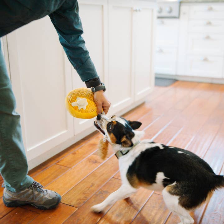 In Vogue Pets – wholesale Pet plush toy – Dog – Barking Brunch Chicken & Wooffles Plush Dog Toy5