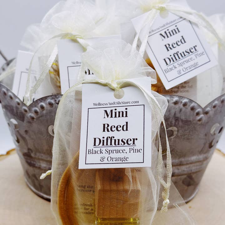 Wellness & Oils - Wholesale Car Freshener - Unisex - Car Reed Diffuser Black Spruce, Pine and Orange - Hanging2