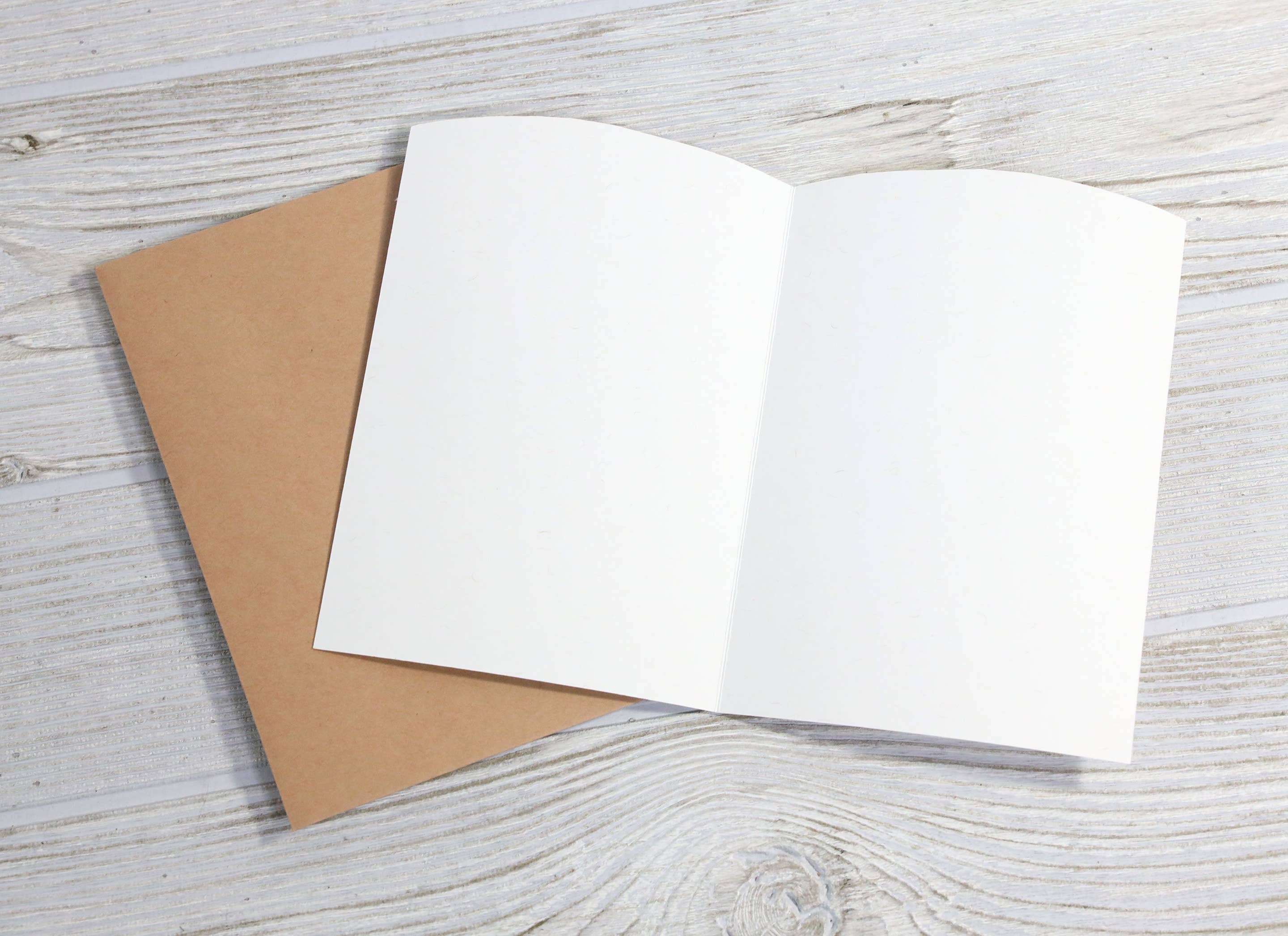 Bad Betty Greeting Co. - Vente Cartes d'anniversaire - Carte d'anniversaire - Merci de m'avoir nourrie et d'avoir dit que je suis jolie2