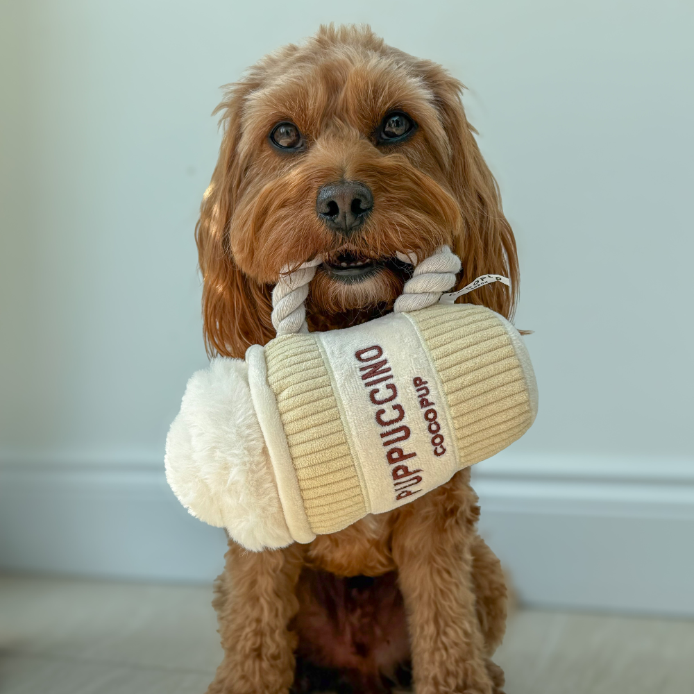 Cocopup London – wholesale Pet plush toy – Dog – Puppuccino Dog Toy5