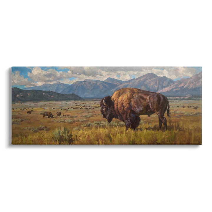 Bison Grazing in Valley Canvas Art for wholesale by Stupell Industries
