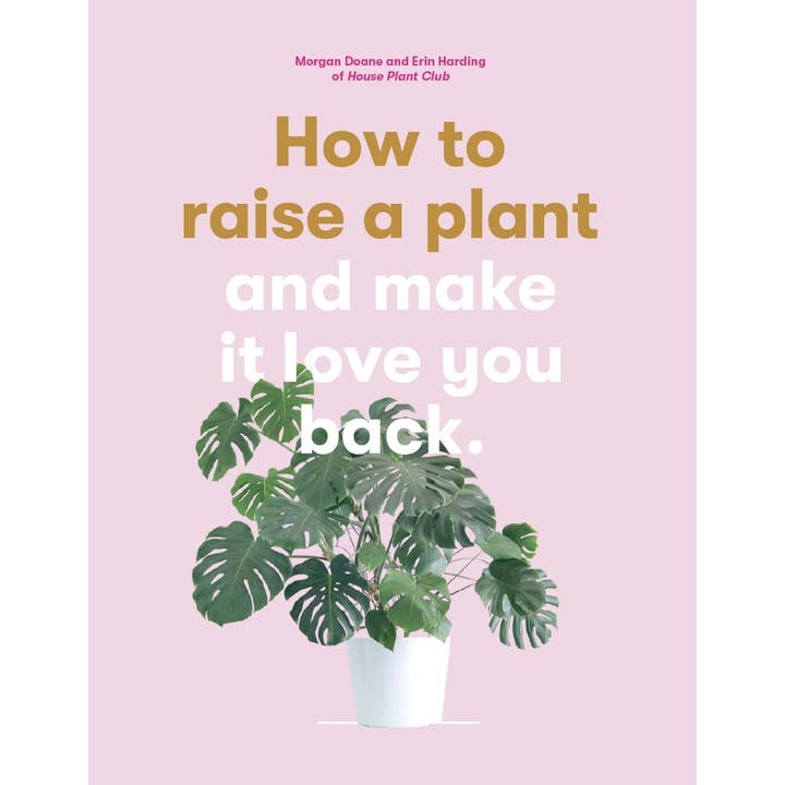 How to Raise a Plant by Morgan Doane (Flexiback) for wholesale by HACHETTE UK LTD X LAURENCE KING