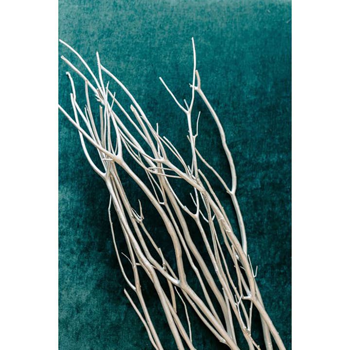 Pacote Mitsumata Branches de 5 Ramos 40in Silver por atacado de TF Publishing - Paper Goods