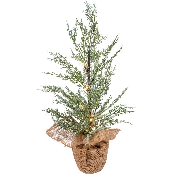 Primitives by Kathy - Wholesale Artificial Christmas Tree - Potted Cedar Medium Tree