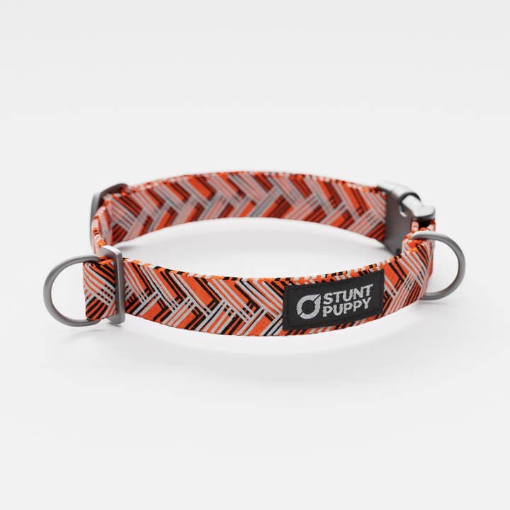 Cincinatti Beagles Everyday Collar for wholesale by Stunt Puppy