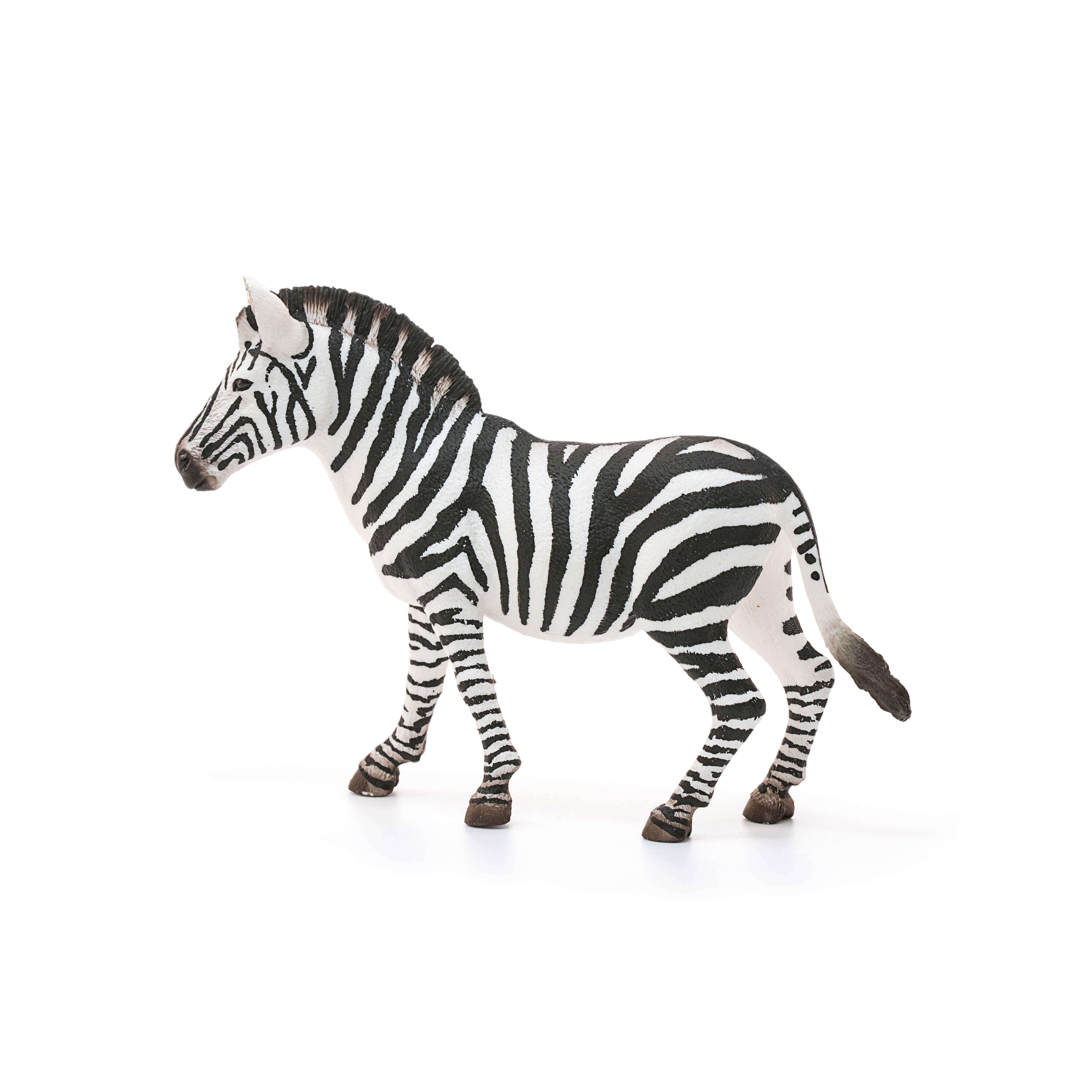 Schleich - Wholesale Figurine Toy - Kids - Zebra, Female Safari Animal Toy3