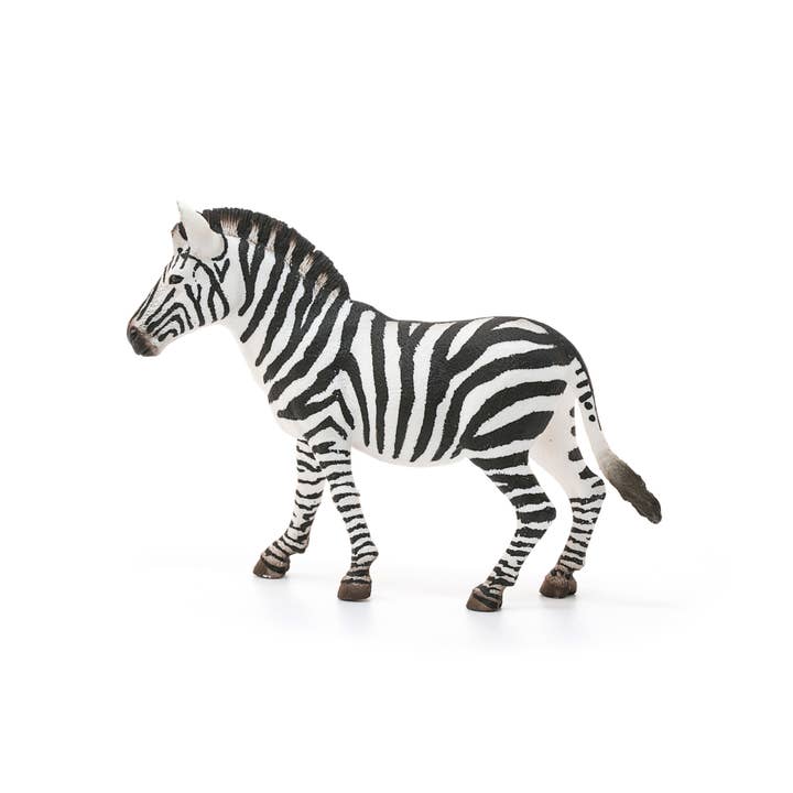 Schleich - Wholesale Figurine Toy - Kids - Zebra, Female Safari Animal Toy3