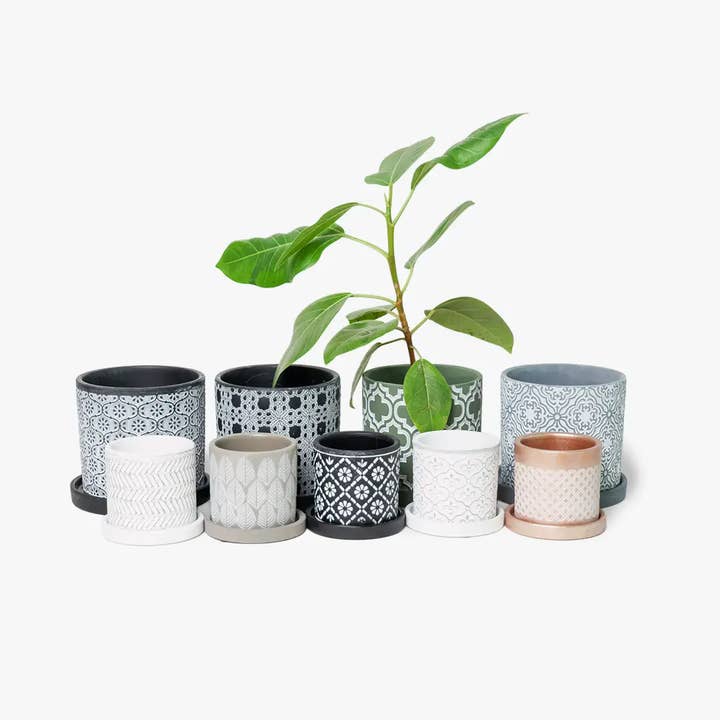 Chive - Wholesale Plant Pot - Balter Succulent Containers Cactus Pot And Saucer3