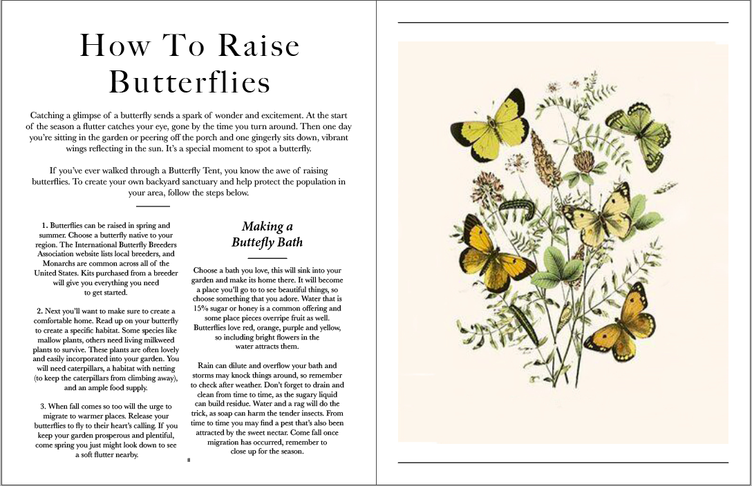 Honest Magazine - Wholesale Magazine - Summer, Plant & Prosper5