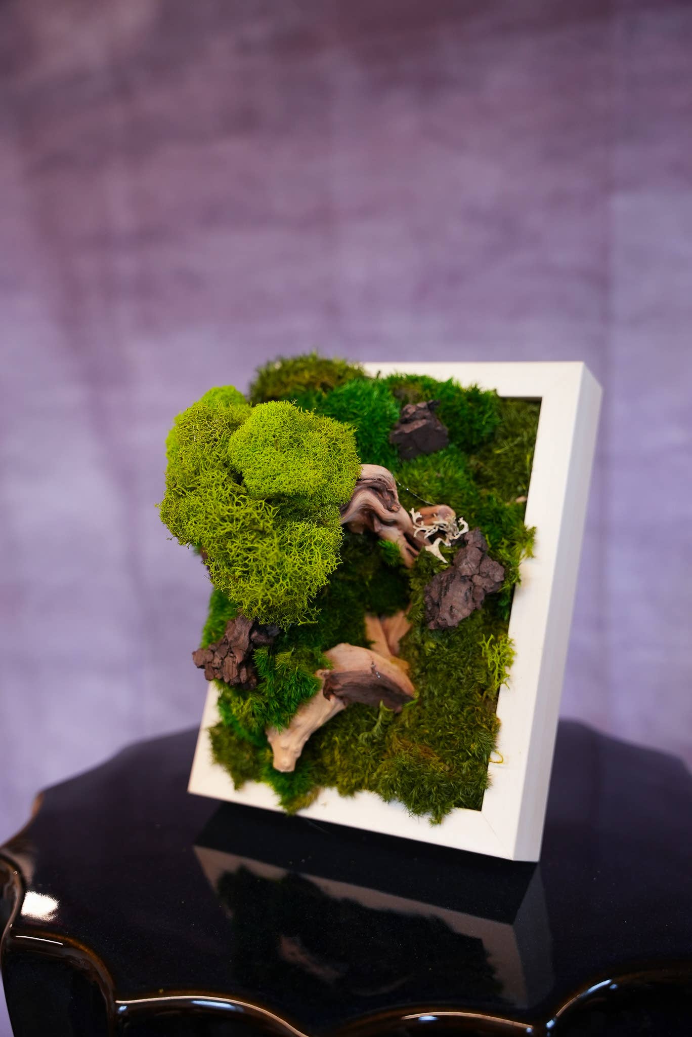 TERRART NYC - Venta al por mayor Jardinera de pared - Muro de Musgo Lienzo de la Naturaleza1