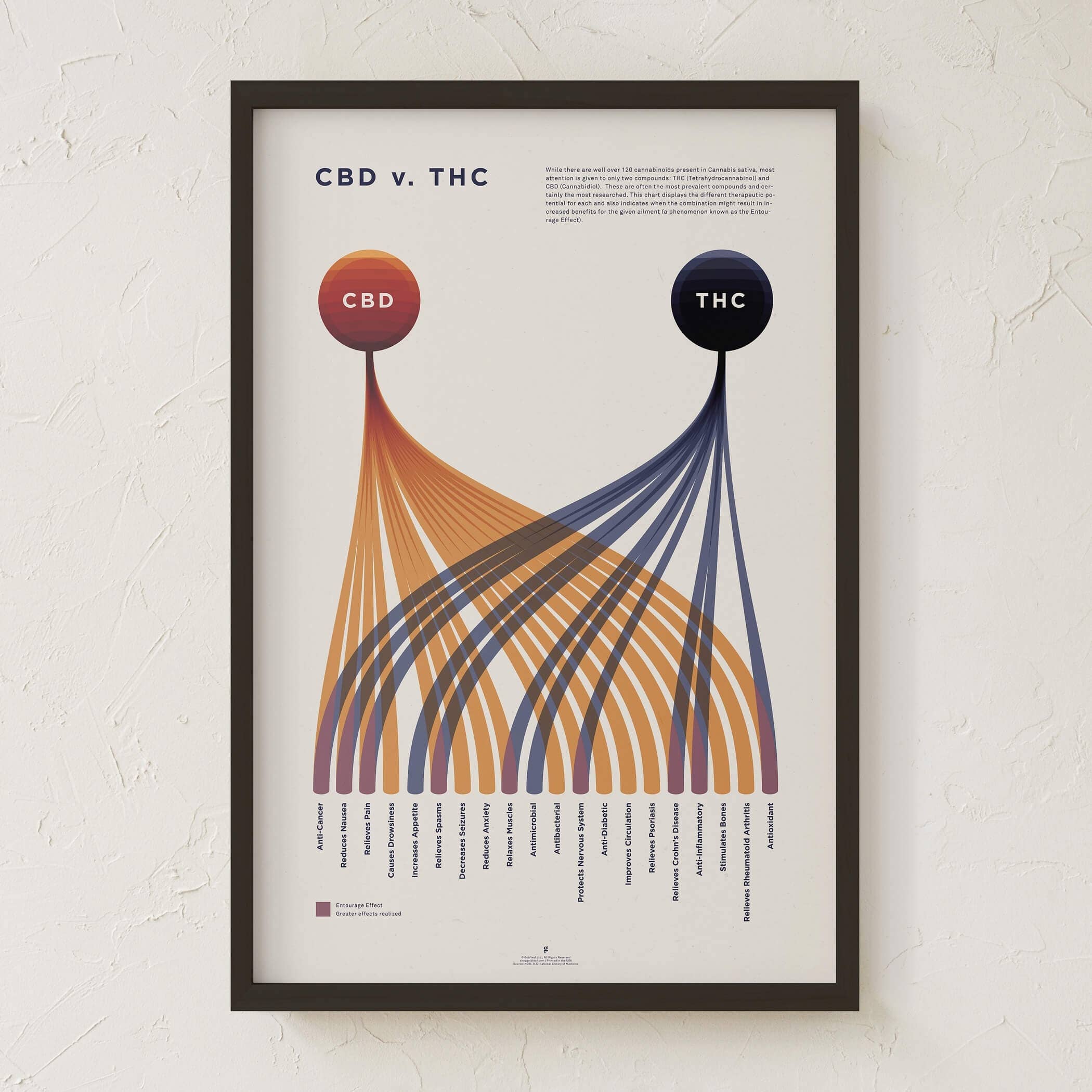 Goldleaf - Wholesale Art Print - CBD v. THC Comparison Chart Print8
