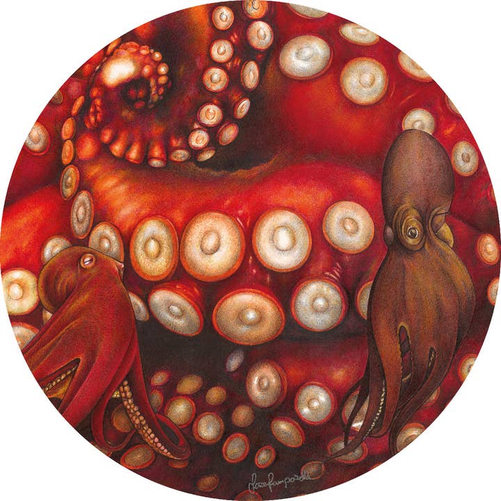 Placemat - Desenho Animal Redondo Rígido 39 cm por atacado de Coolors by Web Com S.a.s.