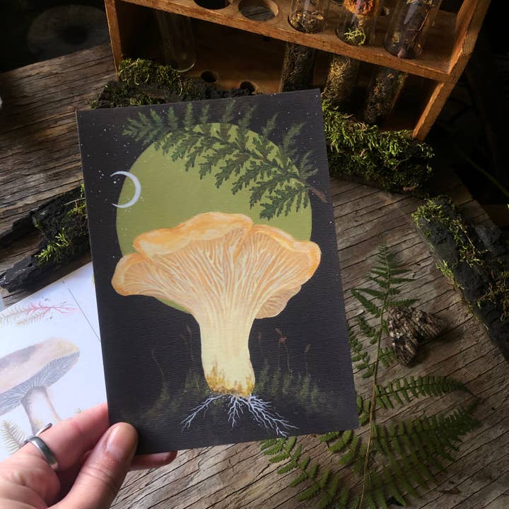 Up Moss Creek Studio - Wholesale Postcard Set - Mushroom Postcard Set (3)5