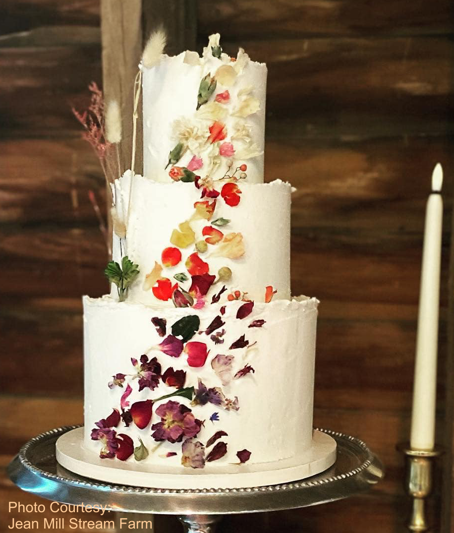 Freshly Preserved - Wholesale Dried/Pressed Flowers - Freeze-dried Edible Roses and Flower Petals2