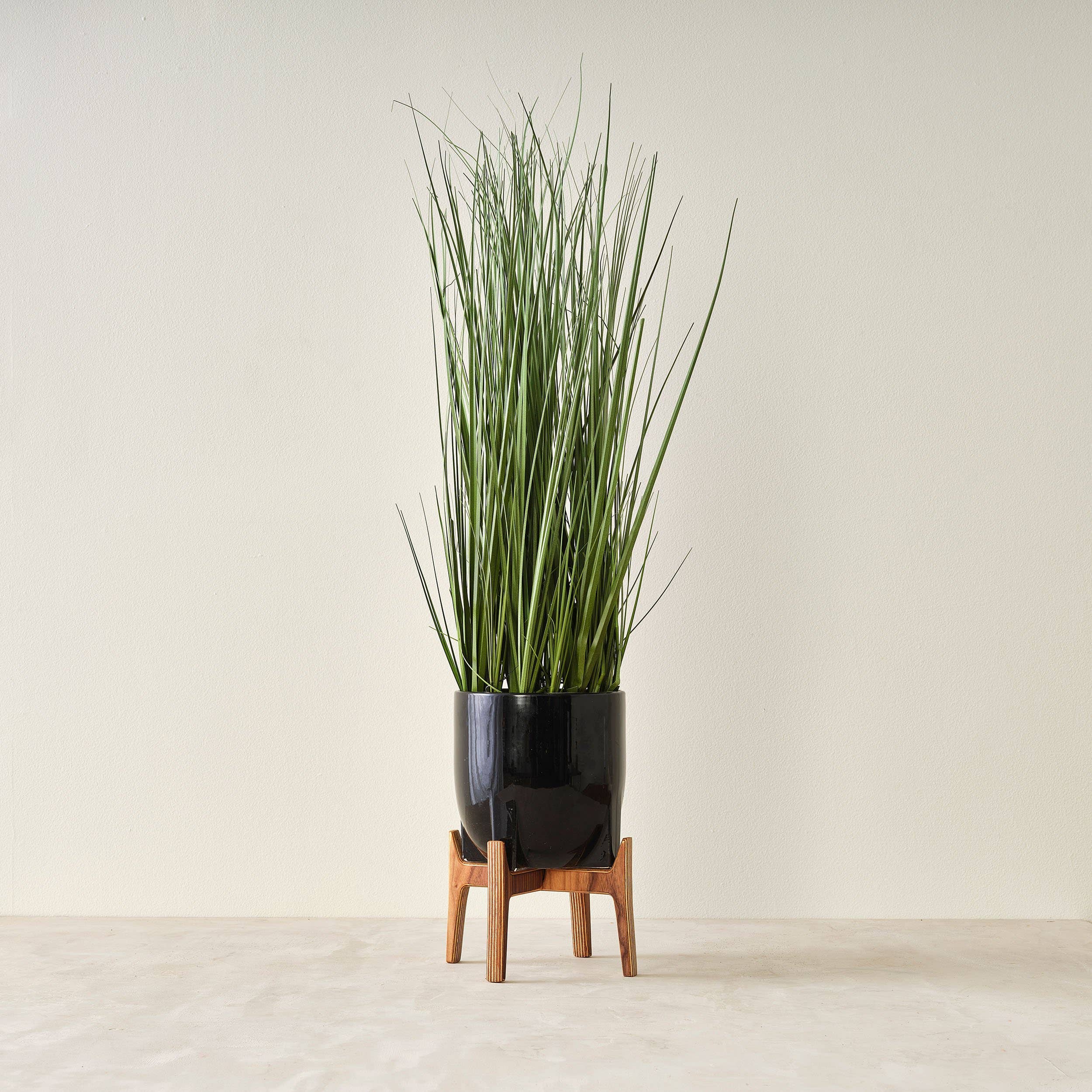 Relic Modern™ | Furniture & Objects - Wholesale Plant Pot Stand - Minimalist Walnut Plant Stand - (4", 6", 8", 10", 12")14