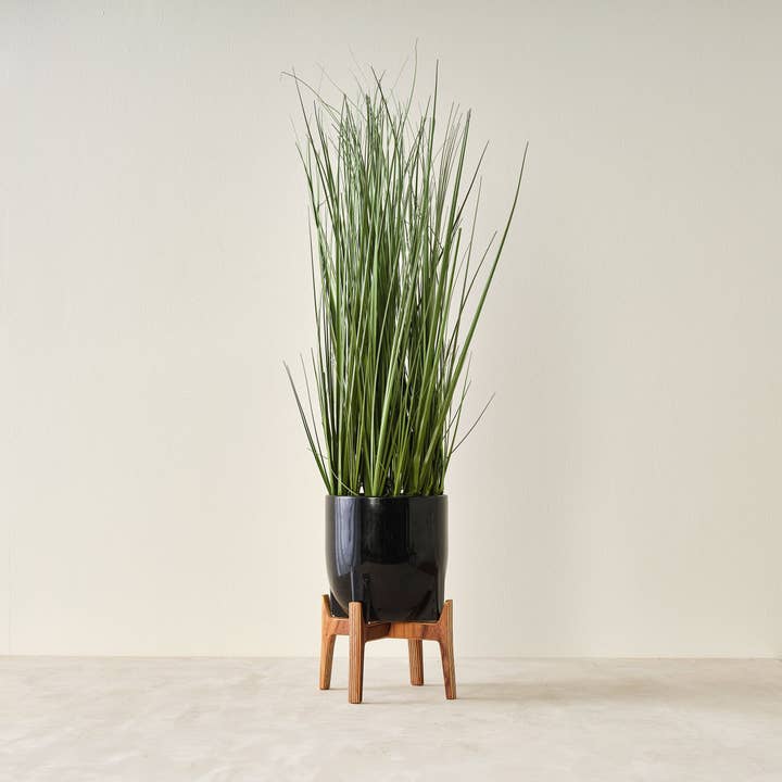 Relic Modern™ | Furniture & Objects - Wholesale Plant Pot Stand - Minimalist Walnut Plant Stand - (4", 6", 8", 10", 12")14