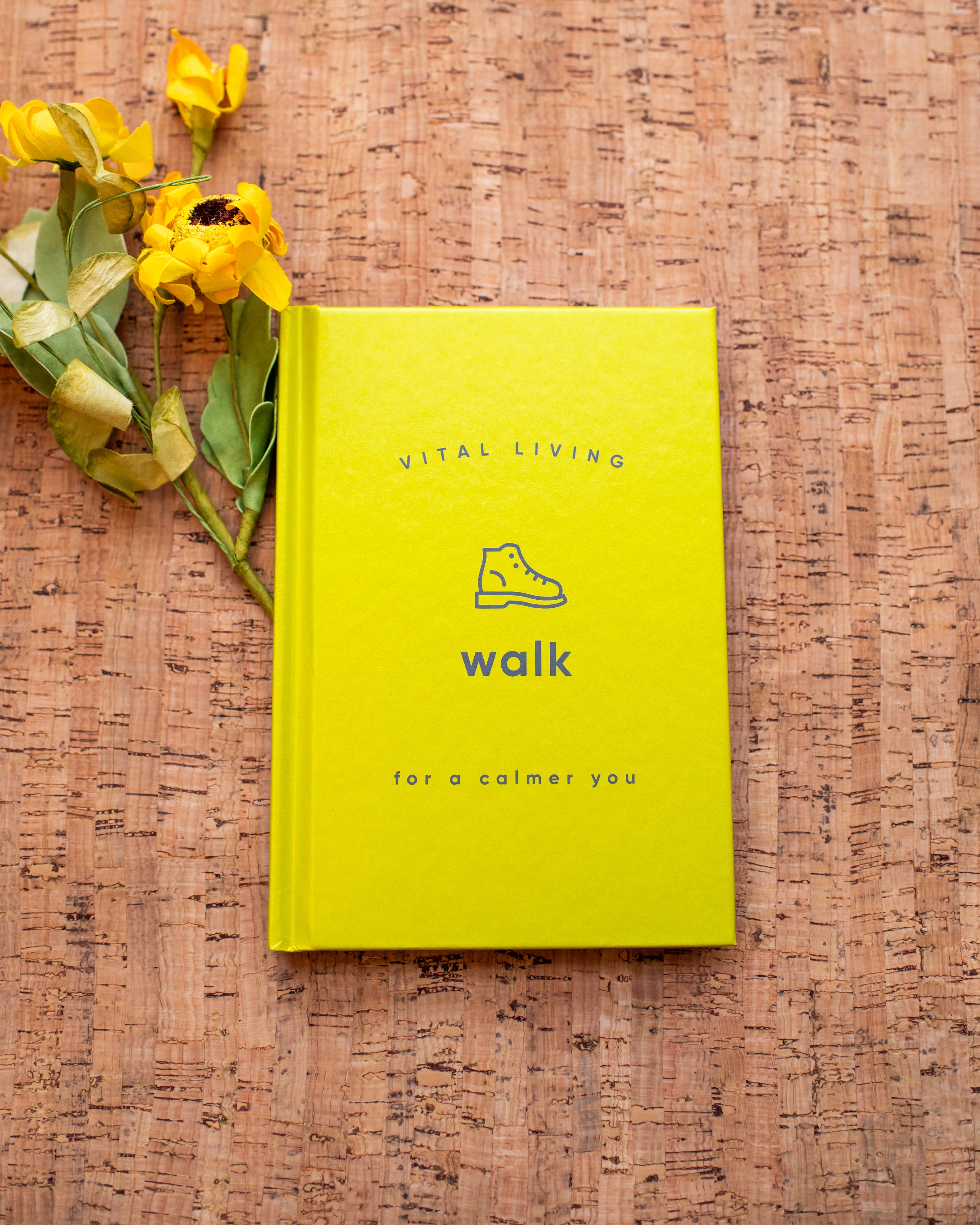 Red Wheel/Weiser LLC - Wholesale Fitness & Exercise - Walk for a Calmer You1