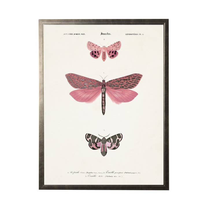 Elibrio rosa con libellule per la vendita all'ingrosso da parte di Antique Curiosities Inc