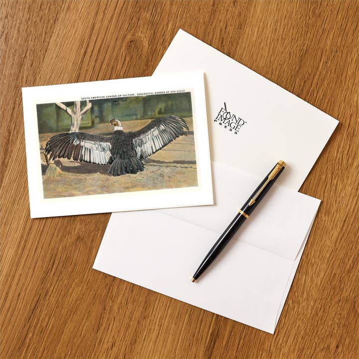 Found Image Press - Wholesale Stationery/Notecard Set - Greeting Card BD-23 Andean Condor1