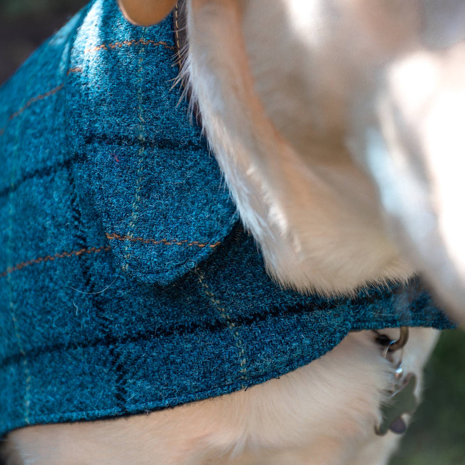 Ibrand - Vente Veste – chien - Veste tartan pour chien en Harris Tweed - Manteau pour animal de compagnie9