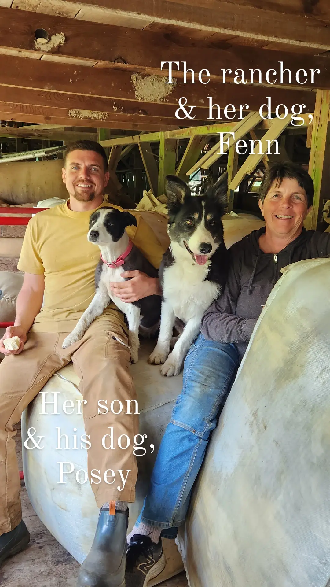 Full Circle Wool - Wholesale Dishcloth - Wool Dish Sponges ~ Climate Beneficial™ (case of 48 units)6